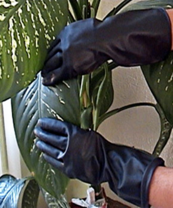 GUANTES DE JARDINERIA
